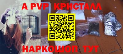 шишки Дубна