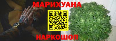 шишки Дубна
