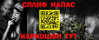 шишки Дубна