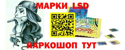 шишки Дубна