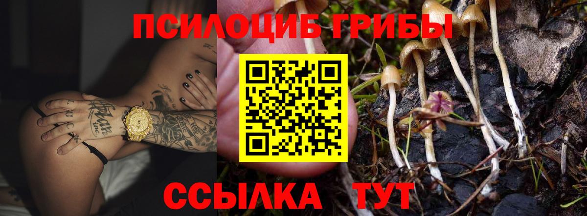 Галлюциногенные грибы мицелий  Вход с VPN  Лабинск 
