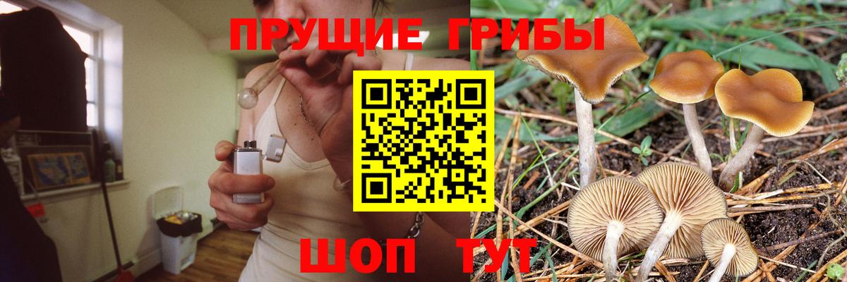 Псилоцибиновые грибы Magic Shrooms Лабинск